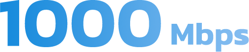 1000 Mbps